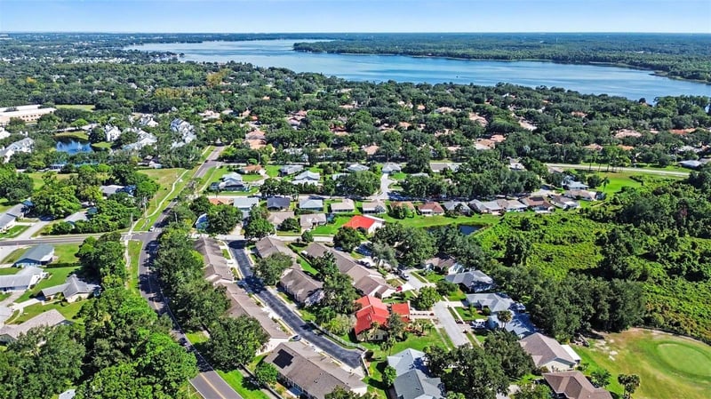 1652 Highland Club Ln, Palm Harbor, FL 34684