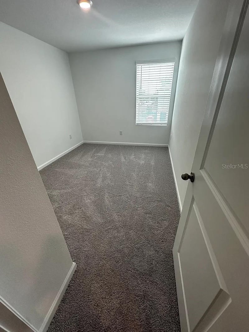 6167 Pina Colada St, Zephyrhills, FL 33542