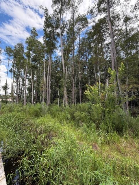 Wesley Chapel Blvd, Lutz, FL 33559