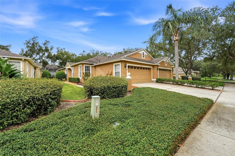 19126 White Wing Pl, Tampa, FL 33647