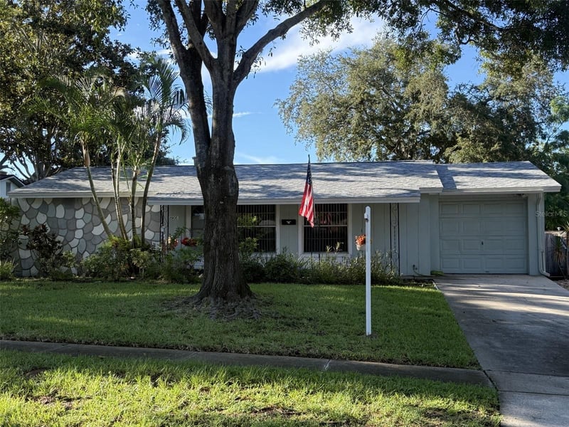 2905 Lemonwood St, Clearwater, FL 33759