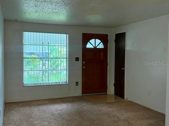 2905 Lemonwood St, Clearwater, FL 33759