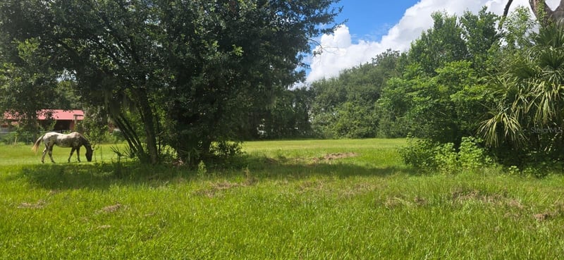 4511 E Keysville Rd, Lithia, FL 33547