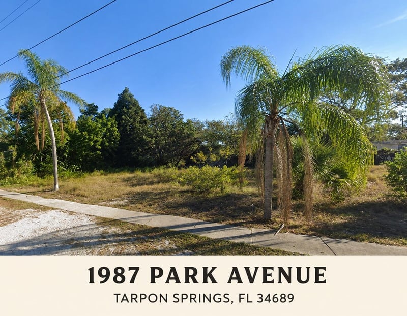 1987 Park Ave, Tarpon Springs, FL 34689