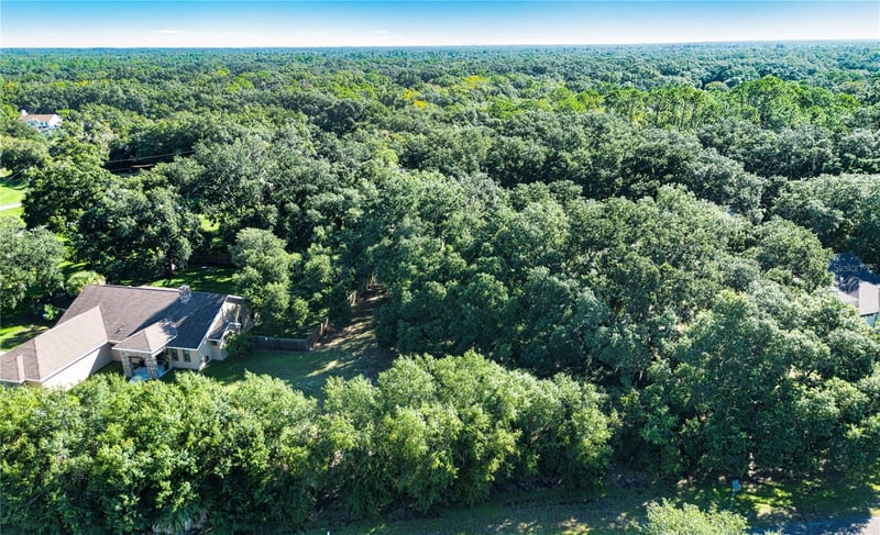 1603 Butch Cassidy Trl, Wimauma, FL 33598