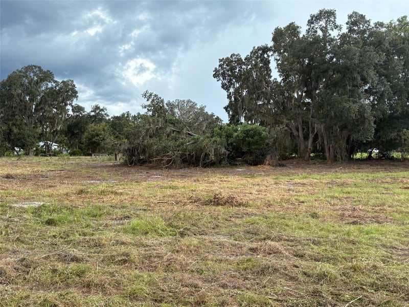 Pump Station Rd, Land O Lakes, FL 34639