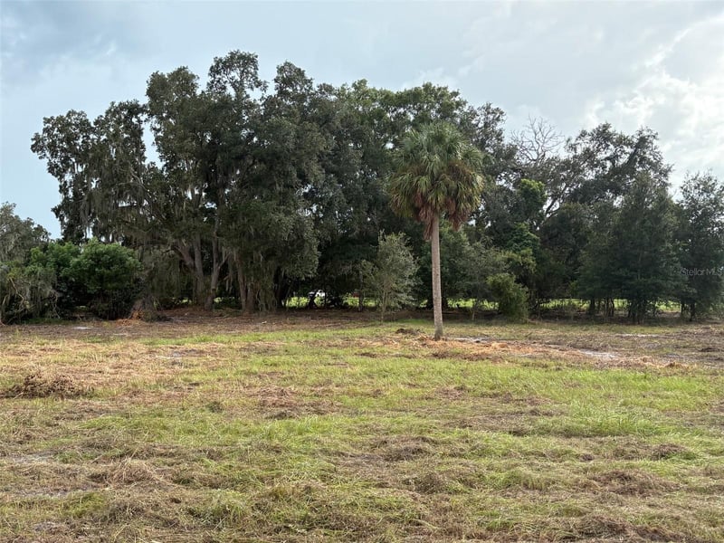 Pump Station Rd, Land O Lakes, FL 34639