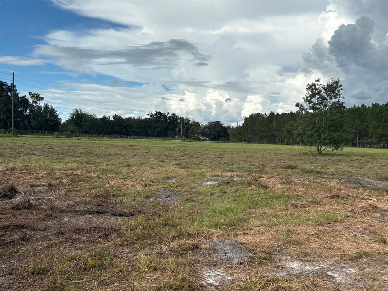 Pump Station Rd, Land O Lakes, FL 34639