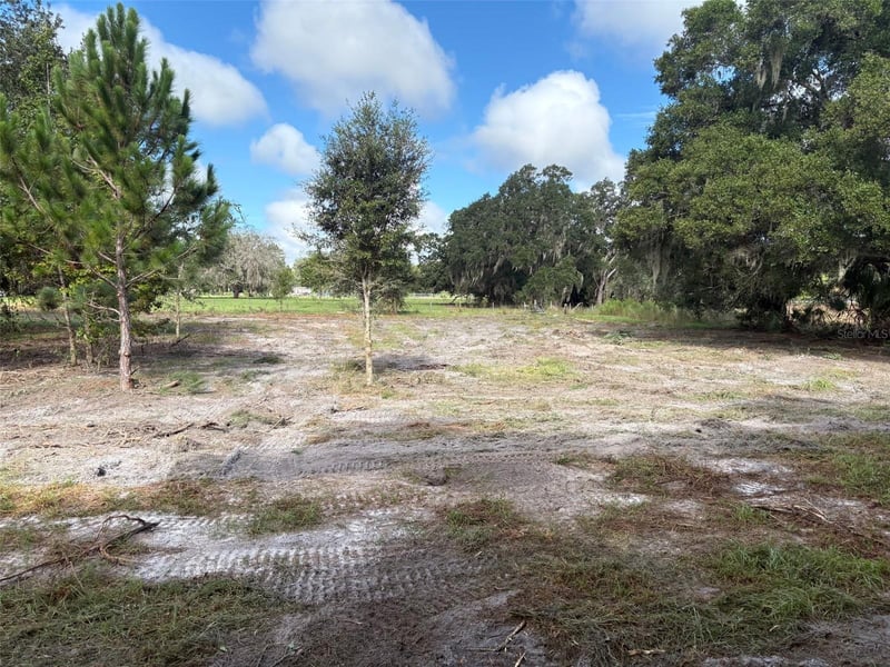 Pump Station Rd, Land O Lakes, FL 34639