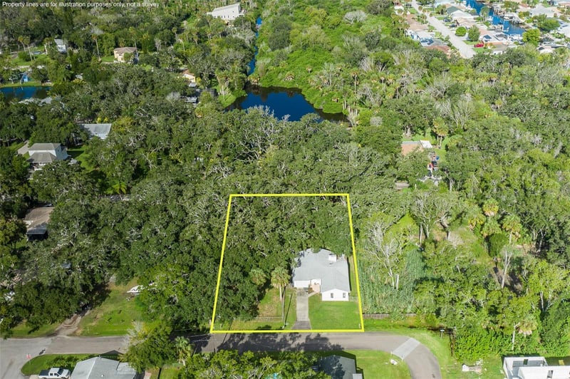 4715 Needle Palm Dr, New Port Richey, FL 34652