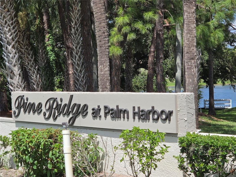 1700 Pine Ridge Way E #C1, Palm Harbor, FL 34684