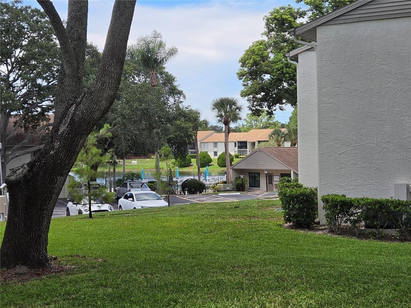 1700 Pine Ridge Way E #C1, Palm Harbor, FL 34684