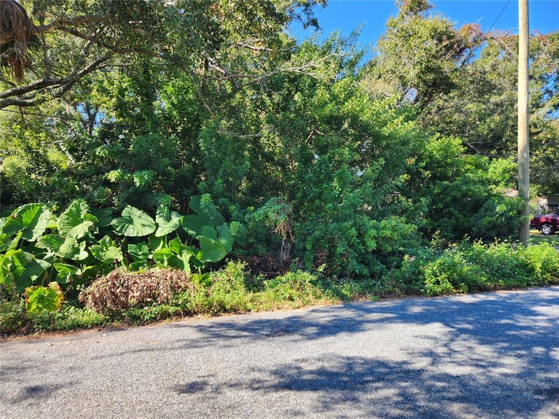 00 Atis St Lot 9, New Port Richey, FL 34653