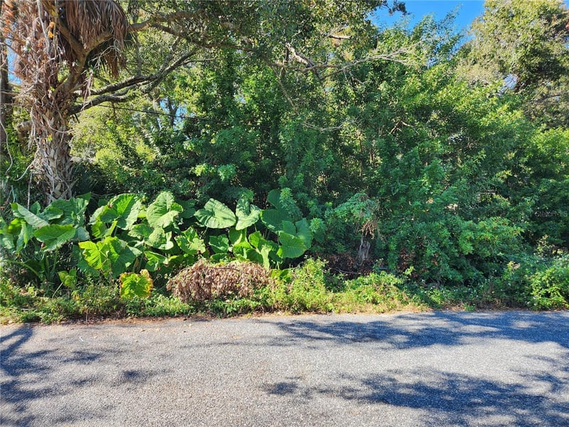 00 Atis St Lot 9, New Port Richey, FL 34653