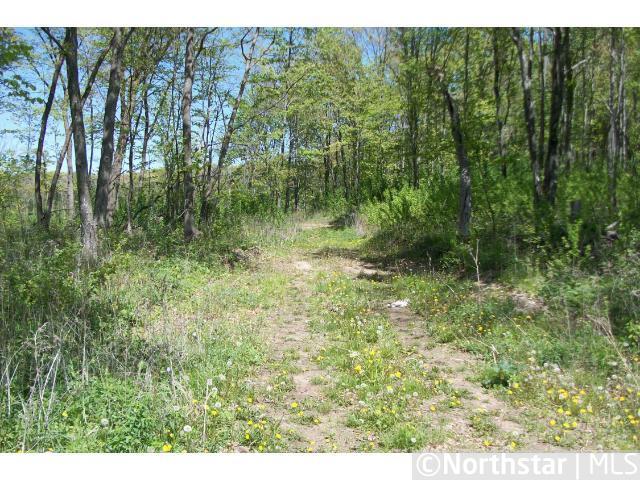 xxx 210th Ave, Eureka, WI 54934