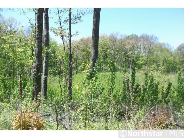 xxx 210th Ave, Eureka, WI 54934