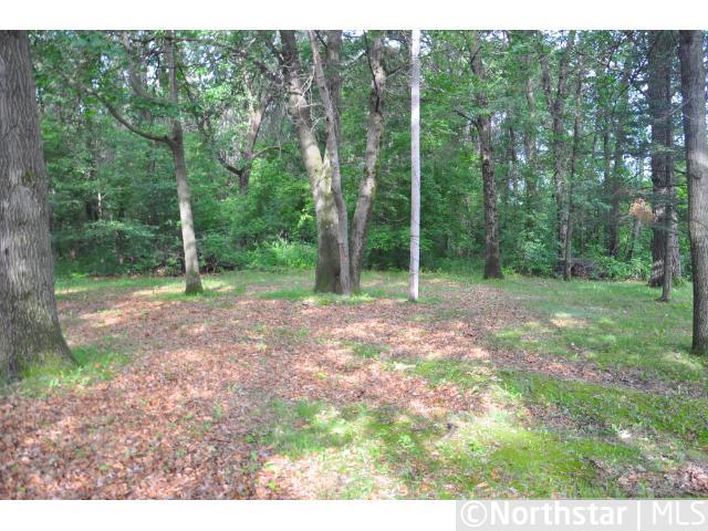 1490 Birch St, Lino Lakes, MN 55038
