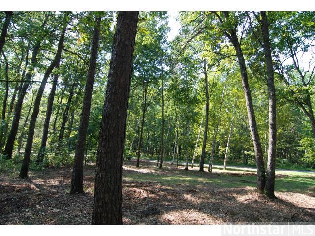 XXX Green Hill Rd, East Gull Lake, MN 56401