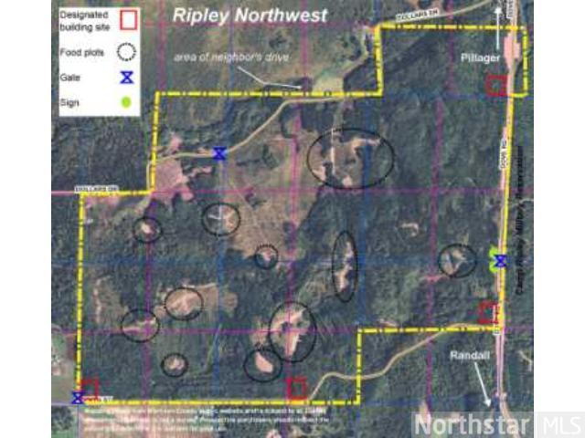 TractB 350th St, Motley, MN 56466
