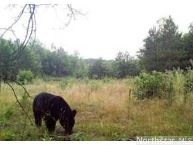 TractB 350th St, Motley, MN 56466