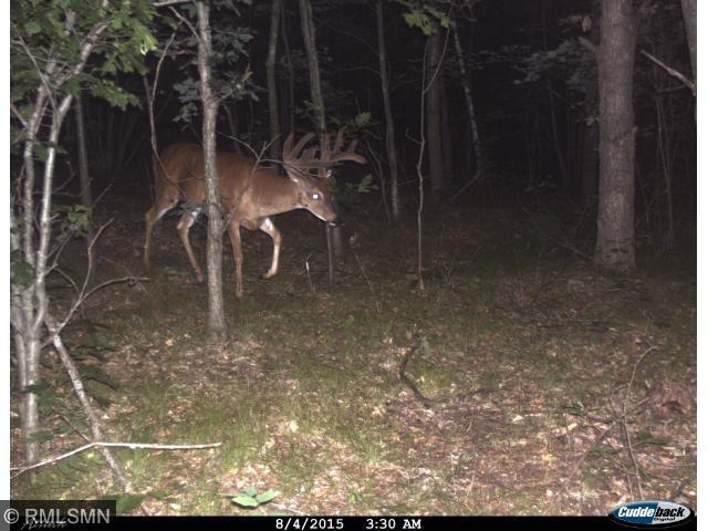 XXX Forest Road 5, Fairchild, WI 54741