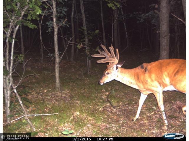 XXX Forest Road 5, Fairchild, WI 54741