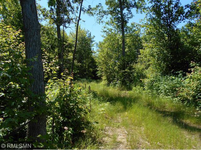 XXX Forest Road 5, Fairchild, WI 54741