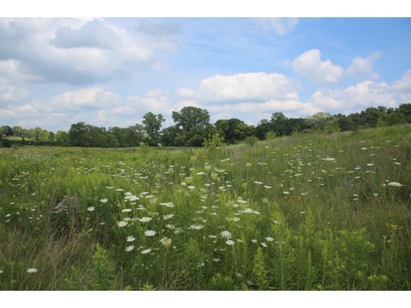 12234 Meadow Bluff Trl, Afton, MN 55001