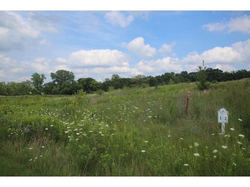 12234 Meadow Bluff Trl, Afton, MN 55001