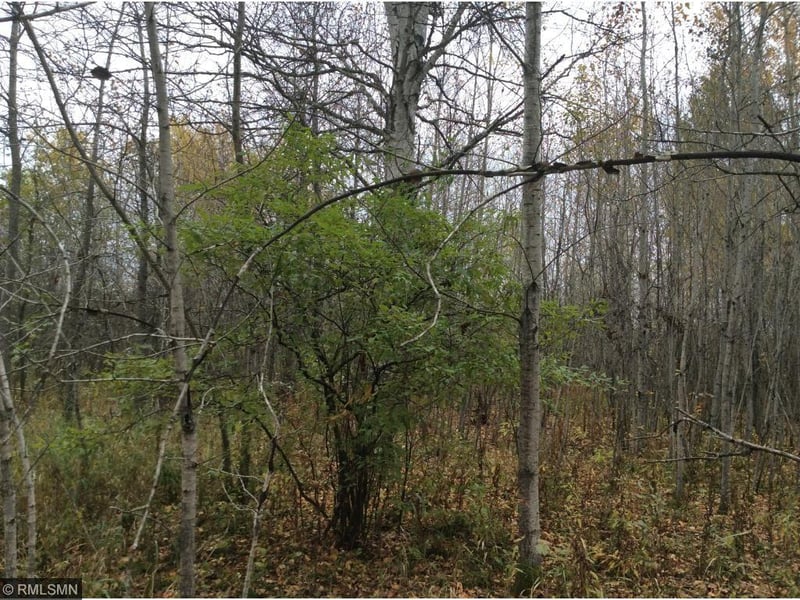 xxx Pion Rd, Brookston, MN 55711