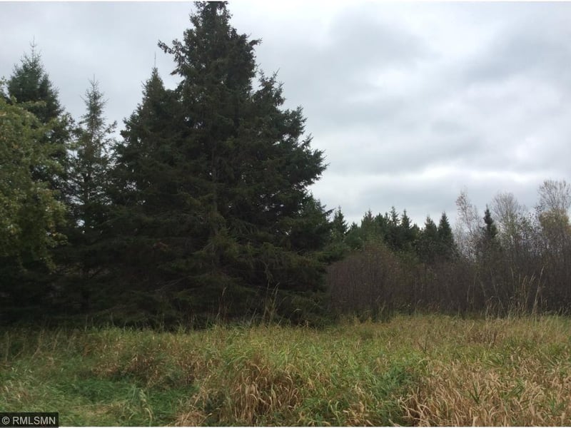xxx Pion Rd, Brookston, MN 55711
