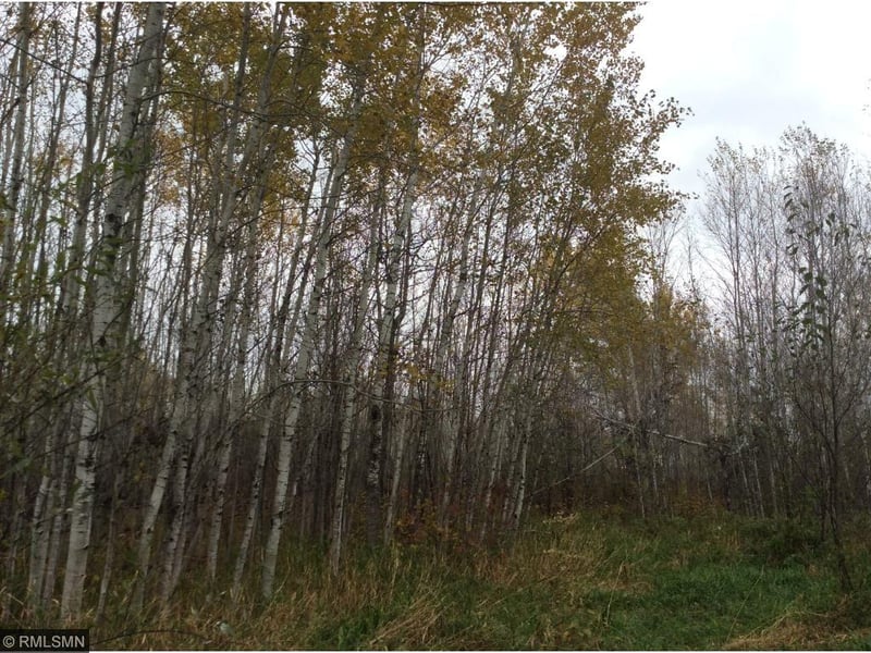 xxx Pion Rd, Brookston, MN 55711
