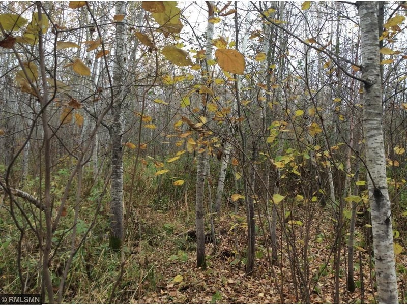 xxx Pion Rd, Brookston, MN 55711