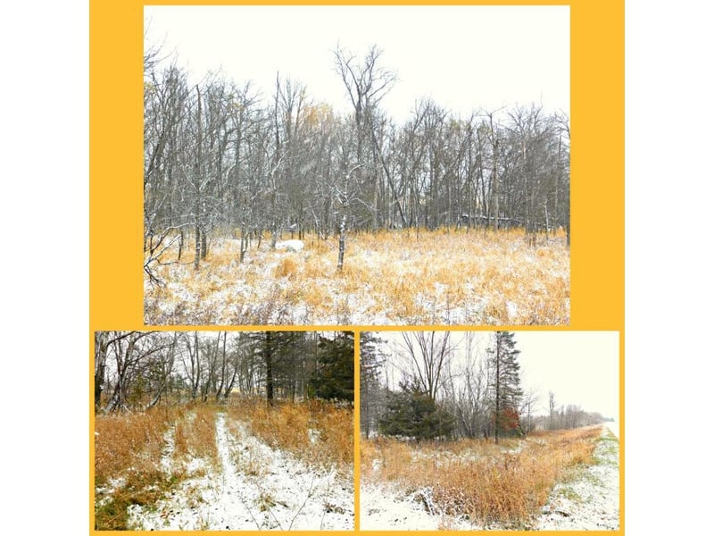 TBD 48th Ave, Flensburg, MN 56328