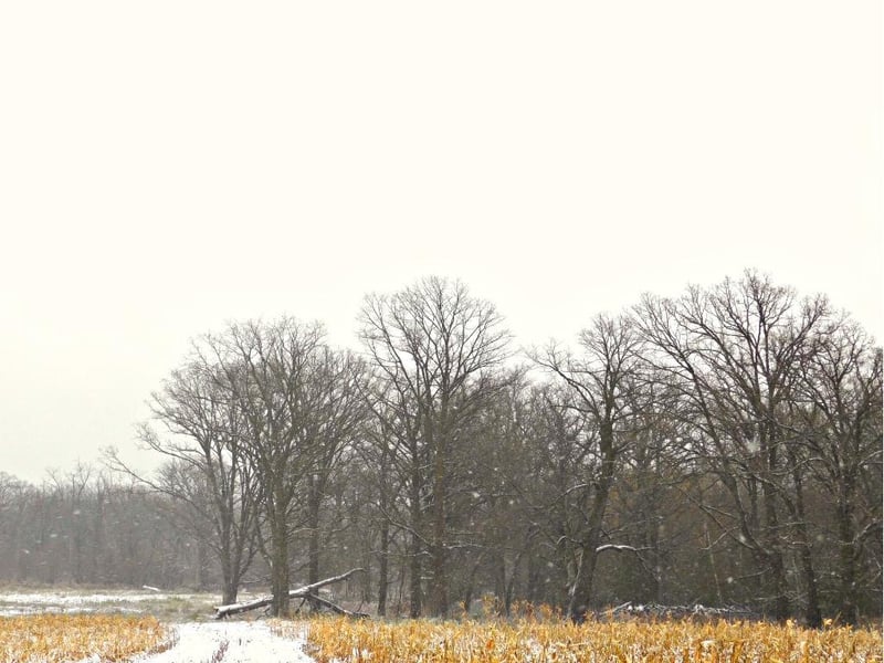 TBD 48th Ave, Flensburg, MN 56328