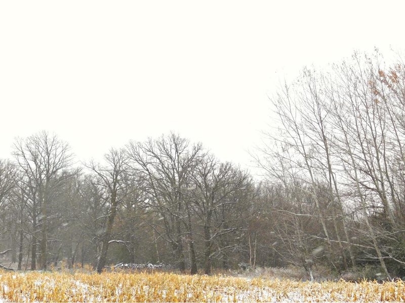 TBD 48th Ave, Flensburg, MN 56328