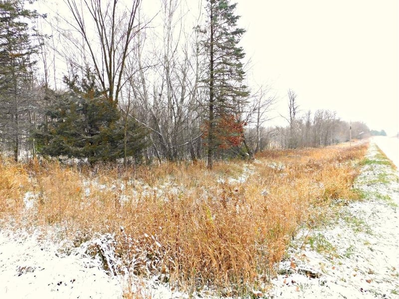 TBD 48th Ave, Flensburg, MN 56328