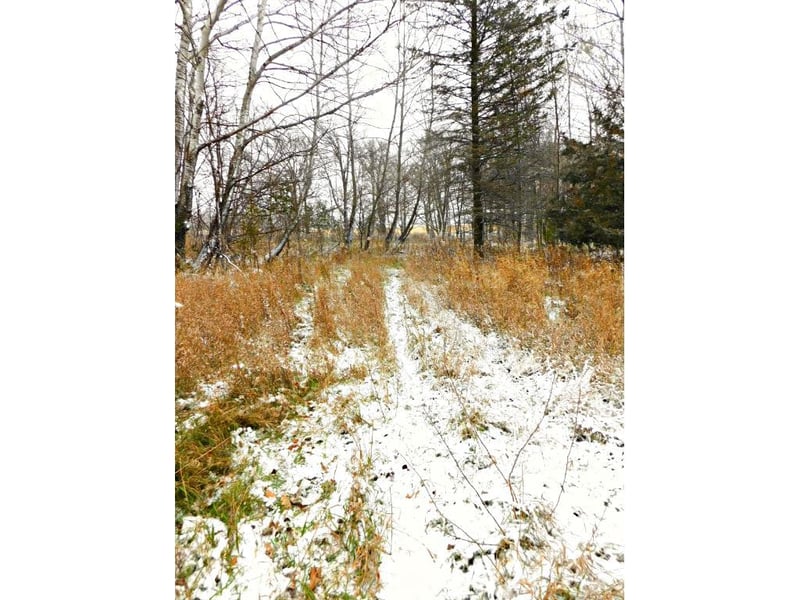 TBD 48th Ave, Flensburg, MN 56328
