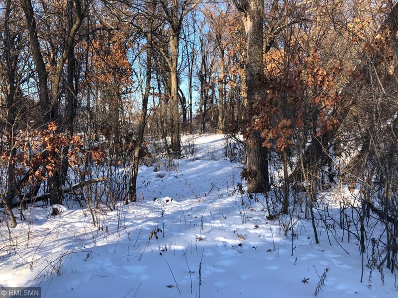 xxxx 272nd St, Wyoming, MN 55092