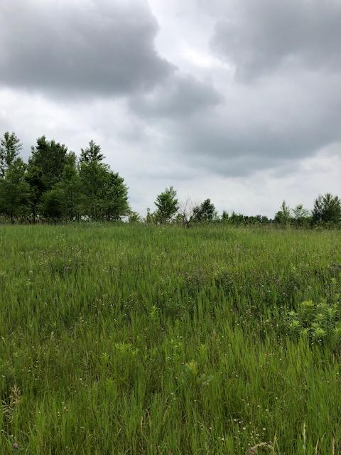 xxx 222nd Ave NW, Nowthen, MN 55303
