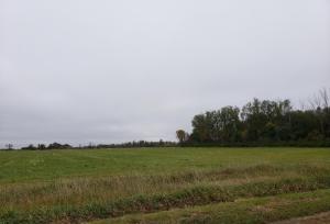 12043 County Road 71, Nelson, MN 56355