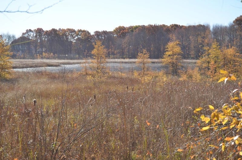xx Hiawatha Beach Drive Ne, Ham Lake, MN 55304