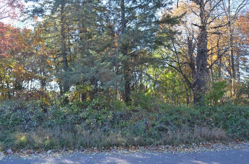 xx Hiawatha Beach Drive Ne, Ham Lake, MN 55304