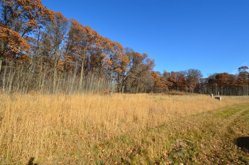 TBD Maplewood Ridge/120th St, East Gull Lake, MN 56401