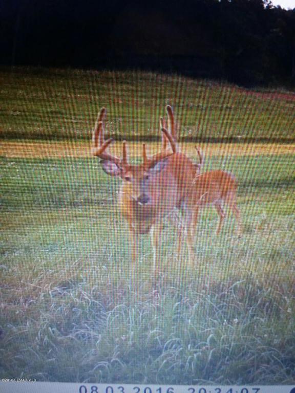 XXXX Stinson Ridge Rd, Houston, MN 55943