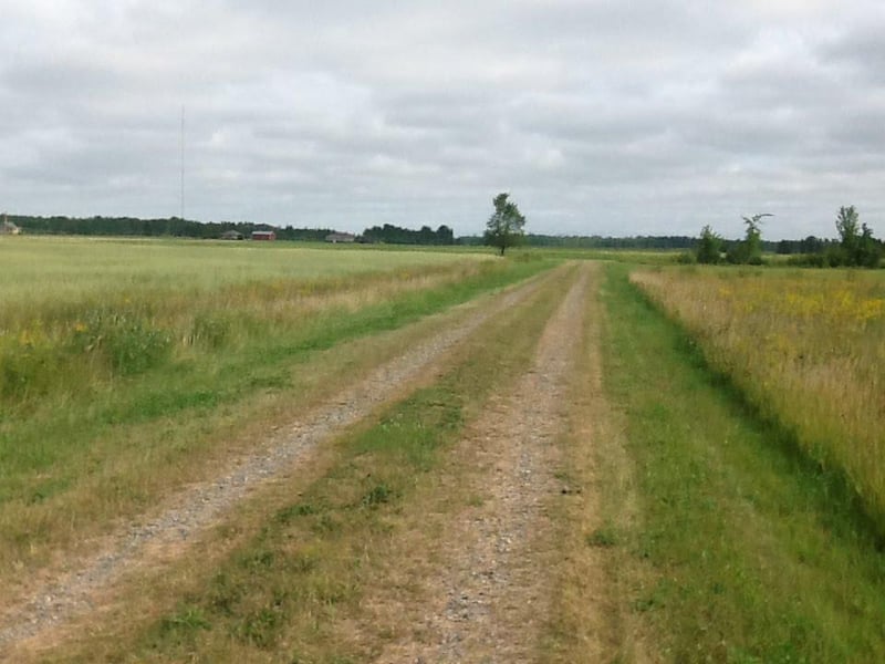 2876 Hwy 11 S, Loman, MN 56654