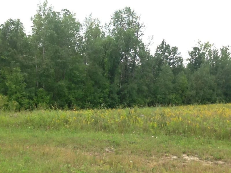 2876 Hwy 11 S, Loman, MN 56654