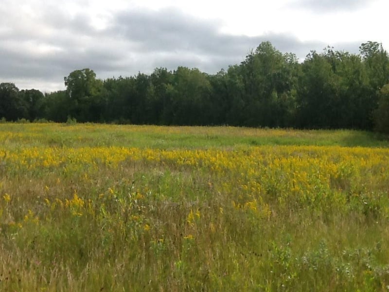 2876 Hwy 11 S, Loman, MN 56654