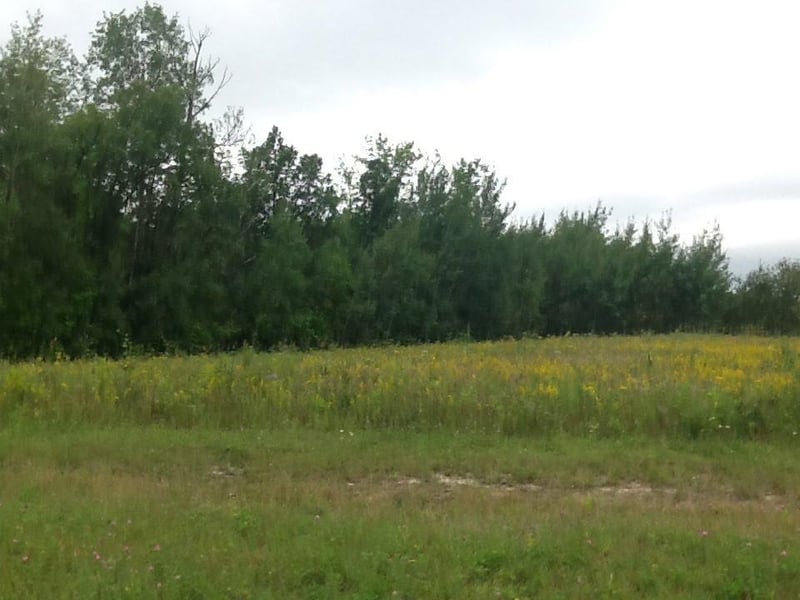 2876 Hwy 11 S, Loman, MN 56654