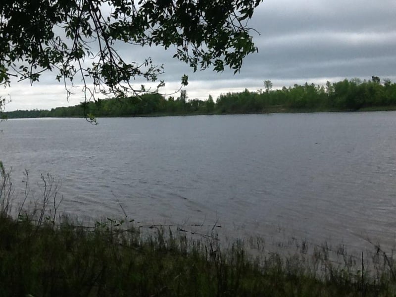2876 Hwy 11 S, Loman, MN 56654